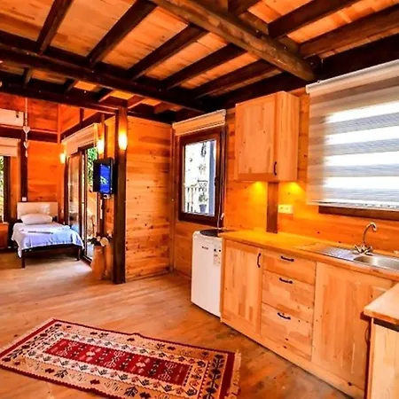 Baharoglu Life House Faralya