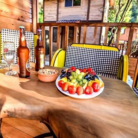 Baharoglu Life House Camping