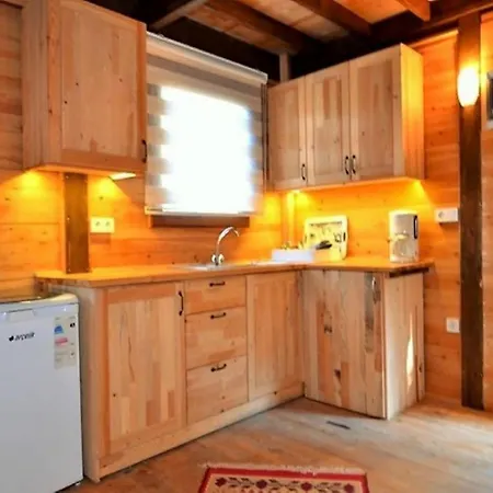 Baharoglu Life House