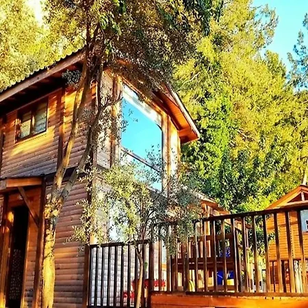 Baharoglu Life House キャンプ場 ファラリア