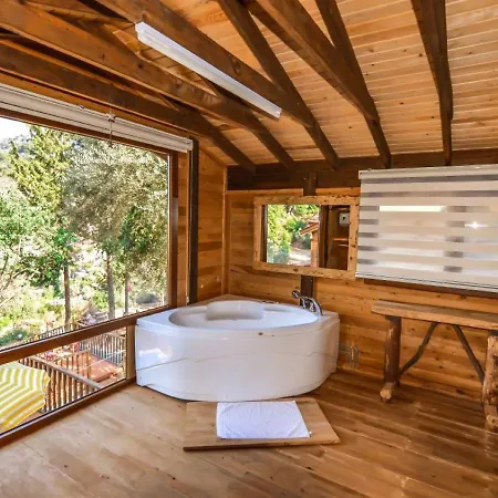 キャンプ場 Baharoglu Life House