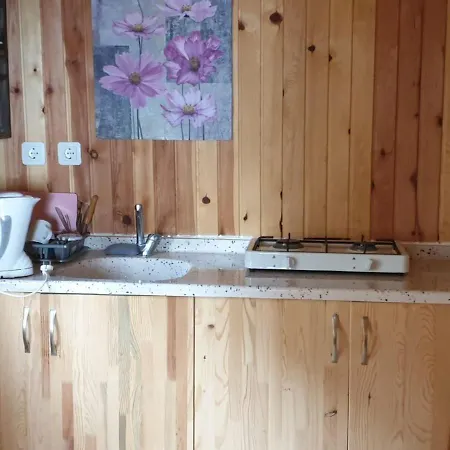 Baharoglu Life House *