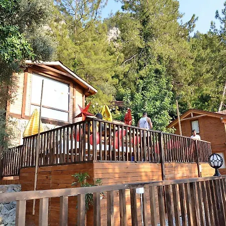 Baharoglu Life House キャンプ場