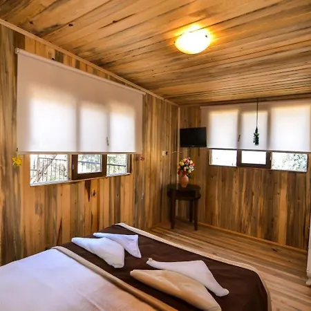 Baharoglu Life House