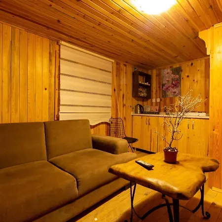 Baharoglu Life House