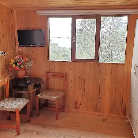 Baharoglu Life House キャンプ場 *