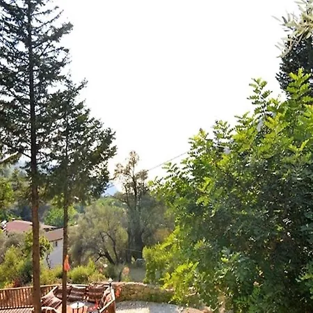 Baharoglu Life House *